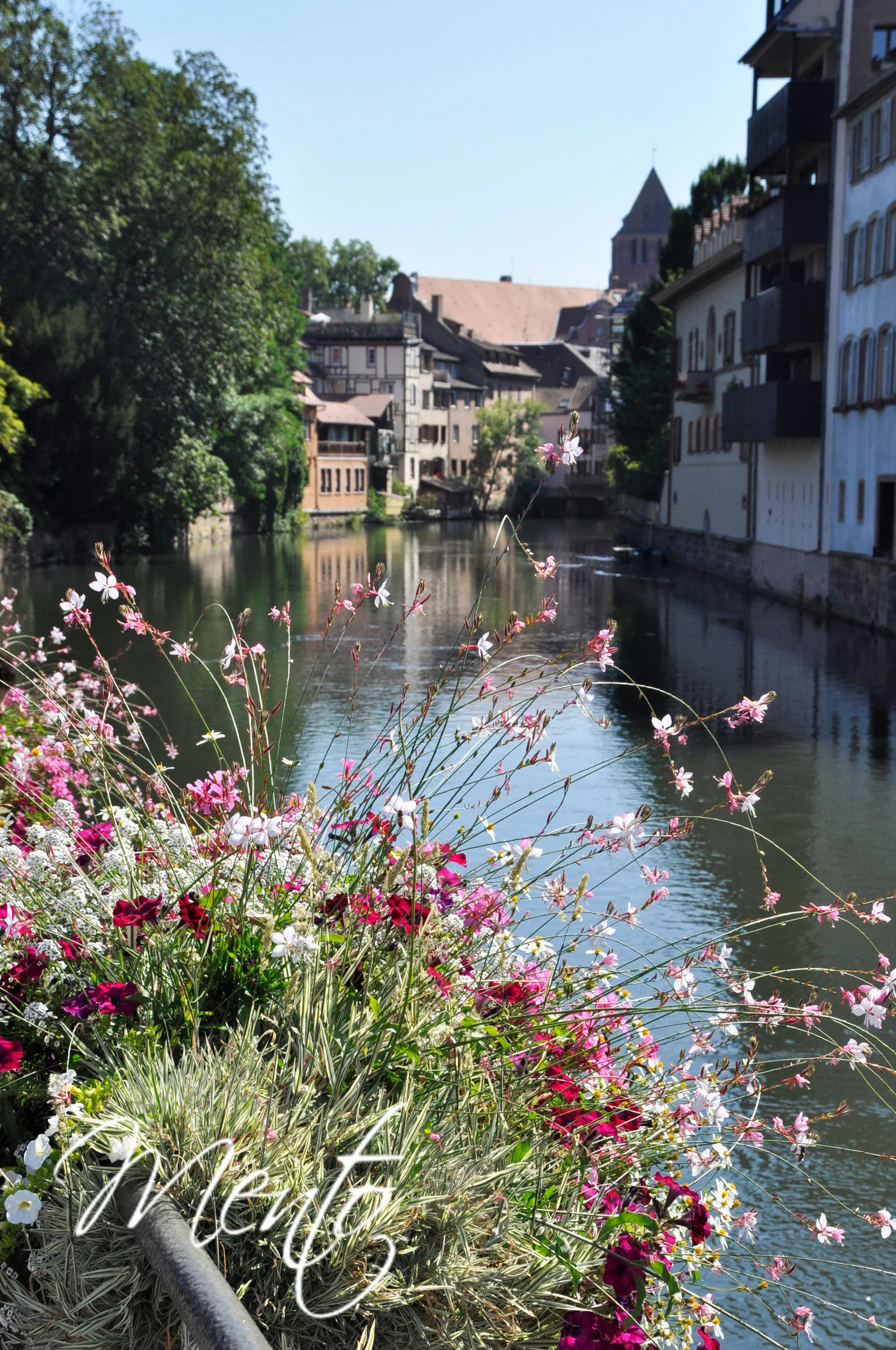 Estrasburgo