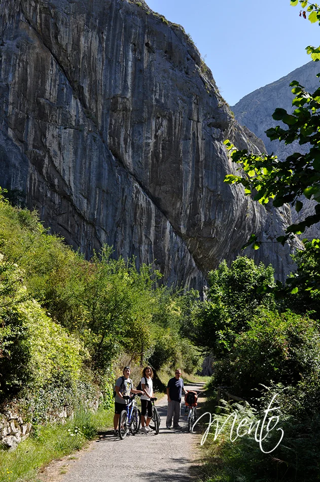 Senda del oso