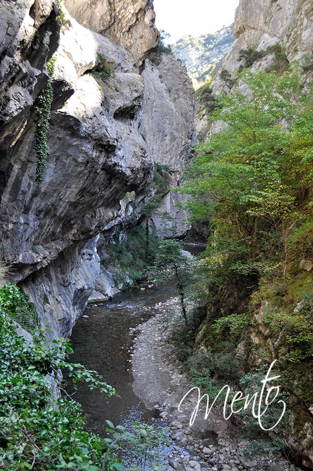 Senda del oso