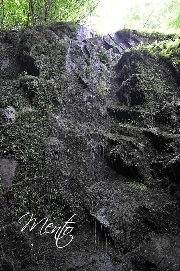 Cascada de la Salgueira