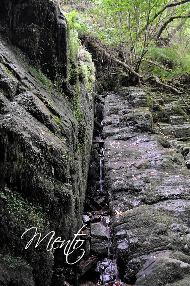 Cascada de la Salgueira