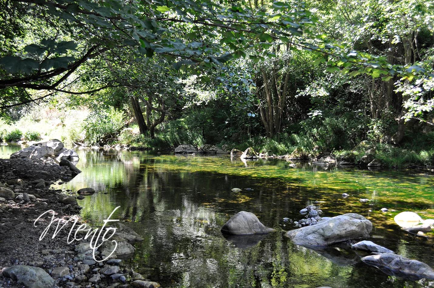 Senda del oso