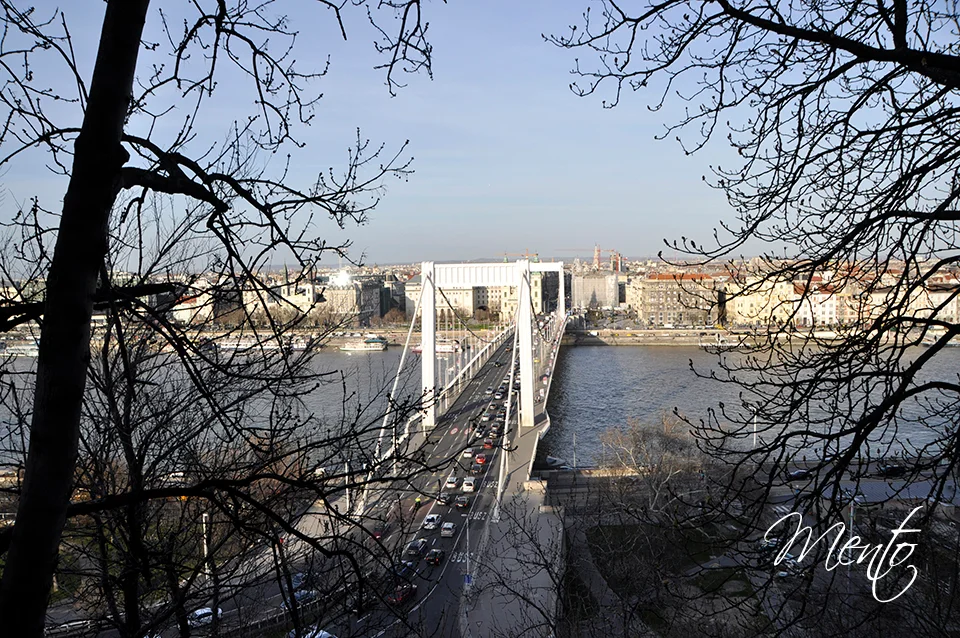 Puente Elizabeth sobre el Danubio
