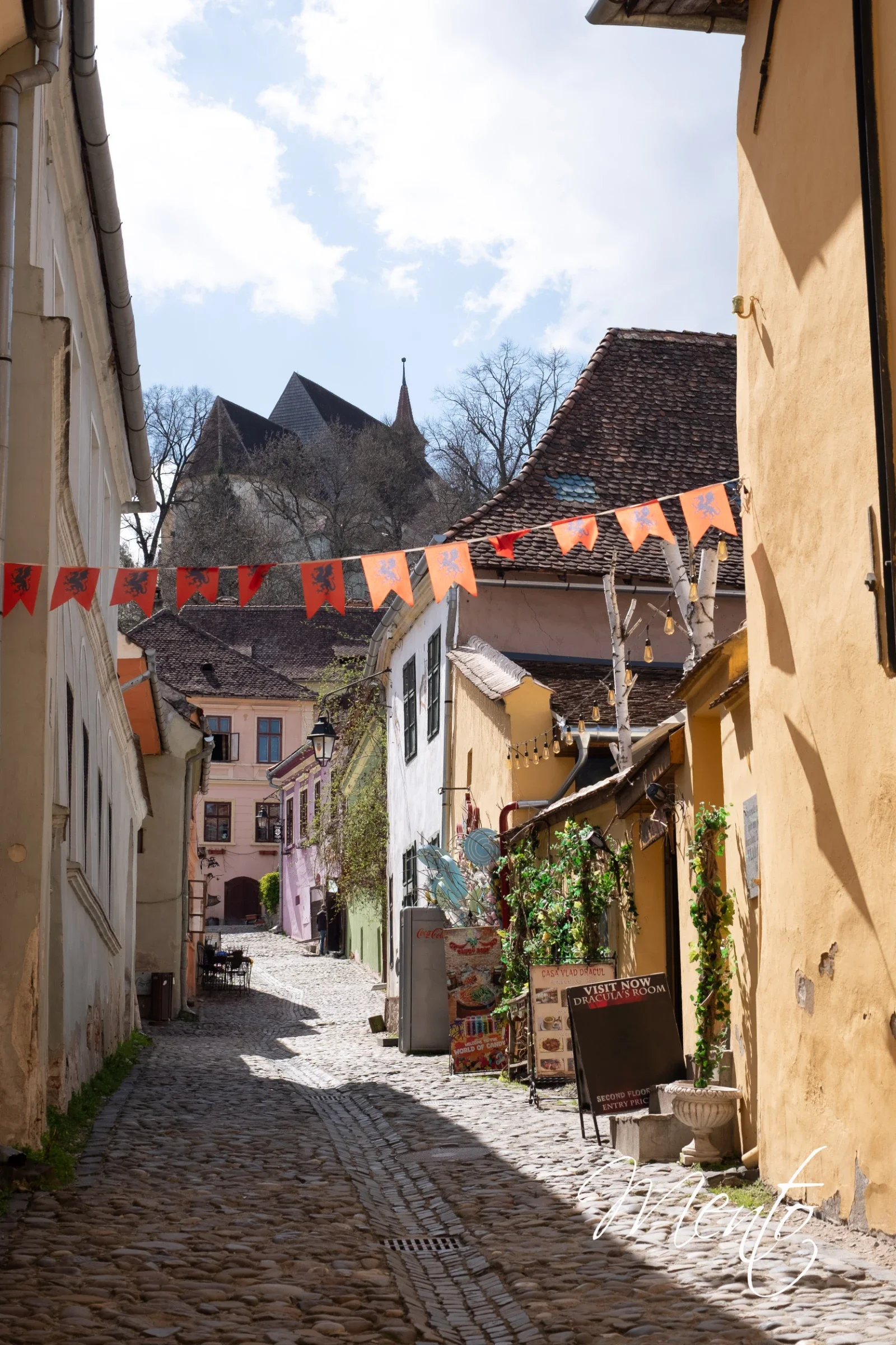 Sighișoara
