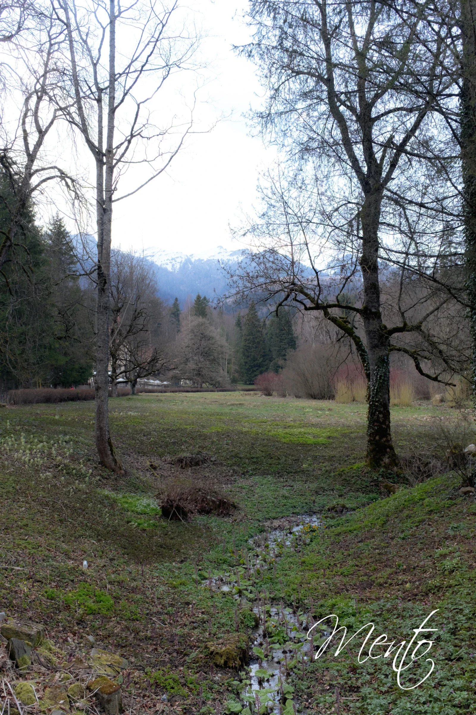 Alrededores del