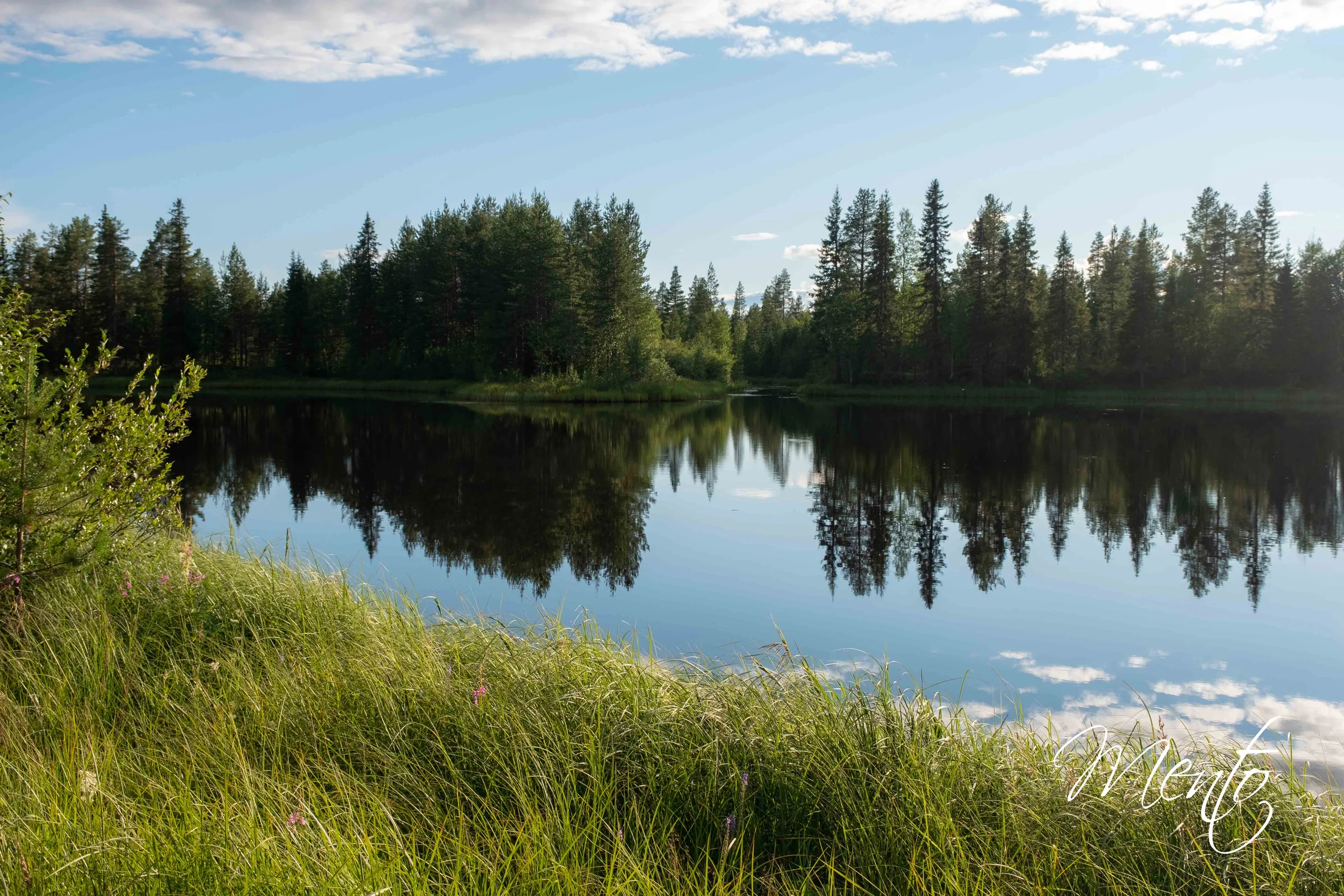 Parada poco después de Sodankylä