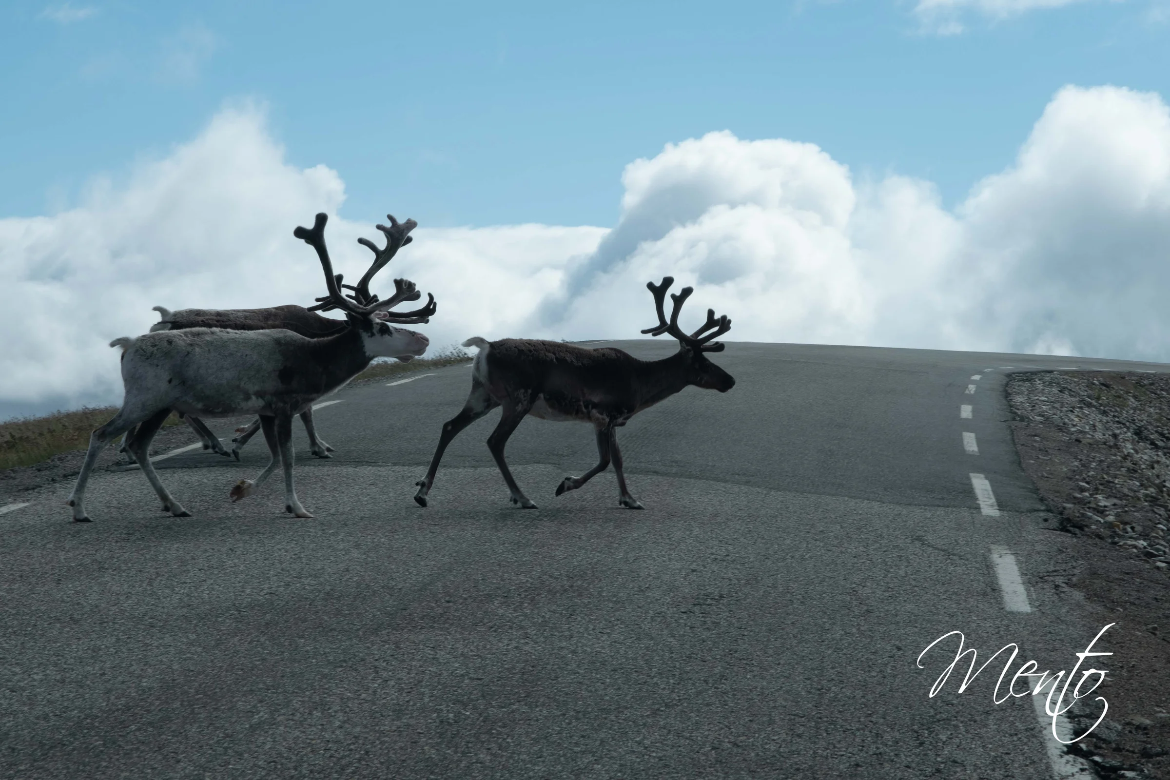Renos a cada paso