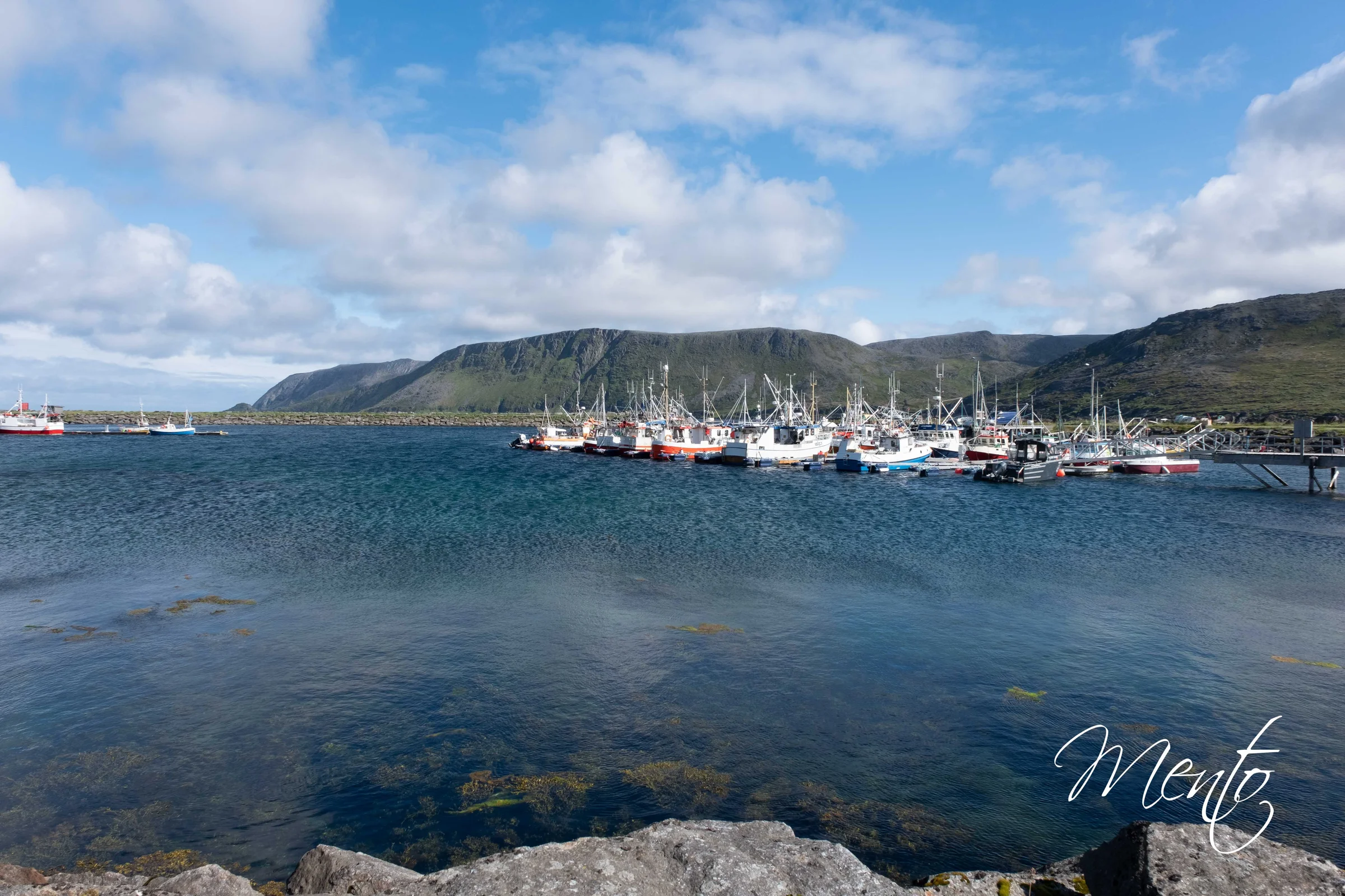 Skarsvåg
