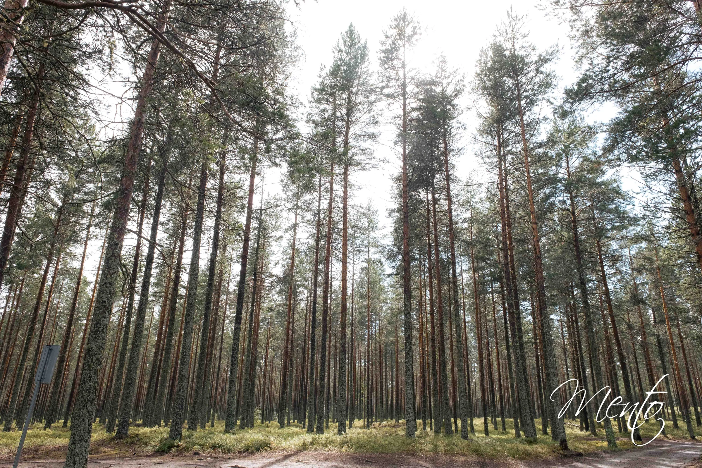 Niemenhäikkä Beach