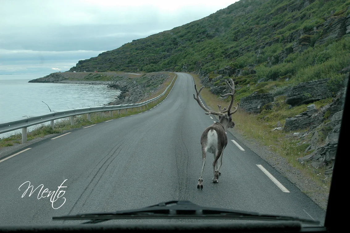 Marcando el camino