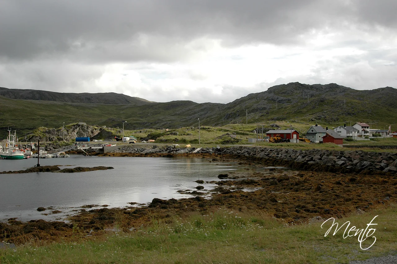 Skarsvag