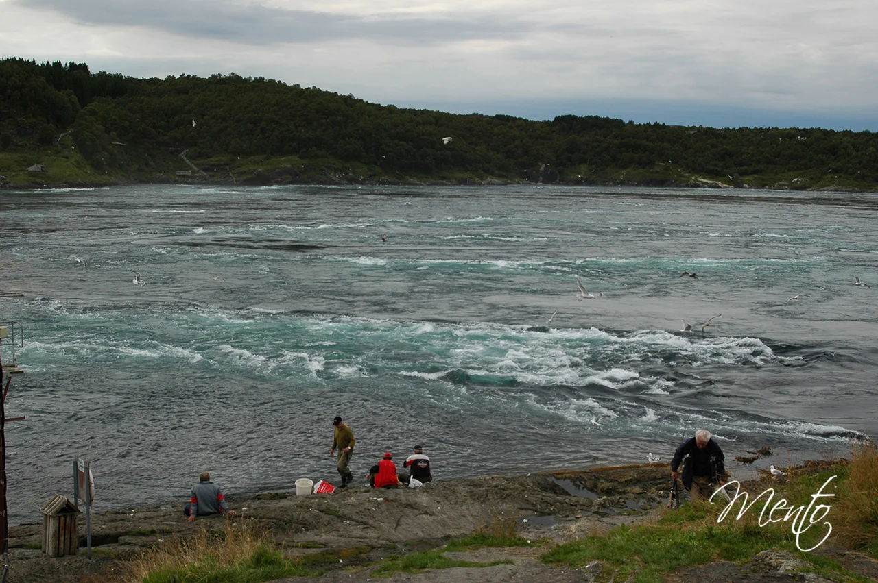 Saltstraumen