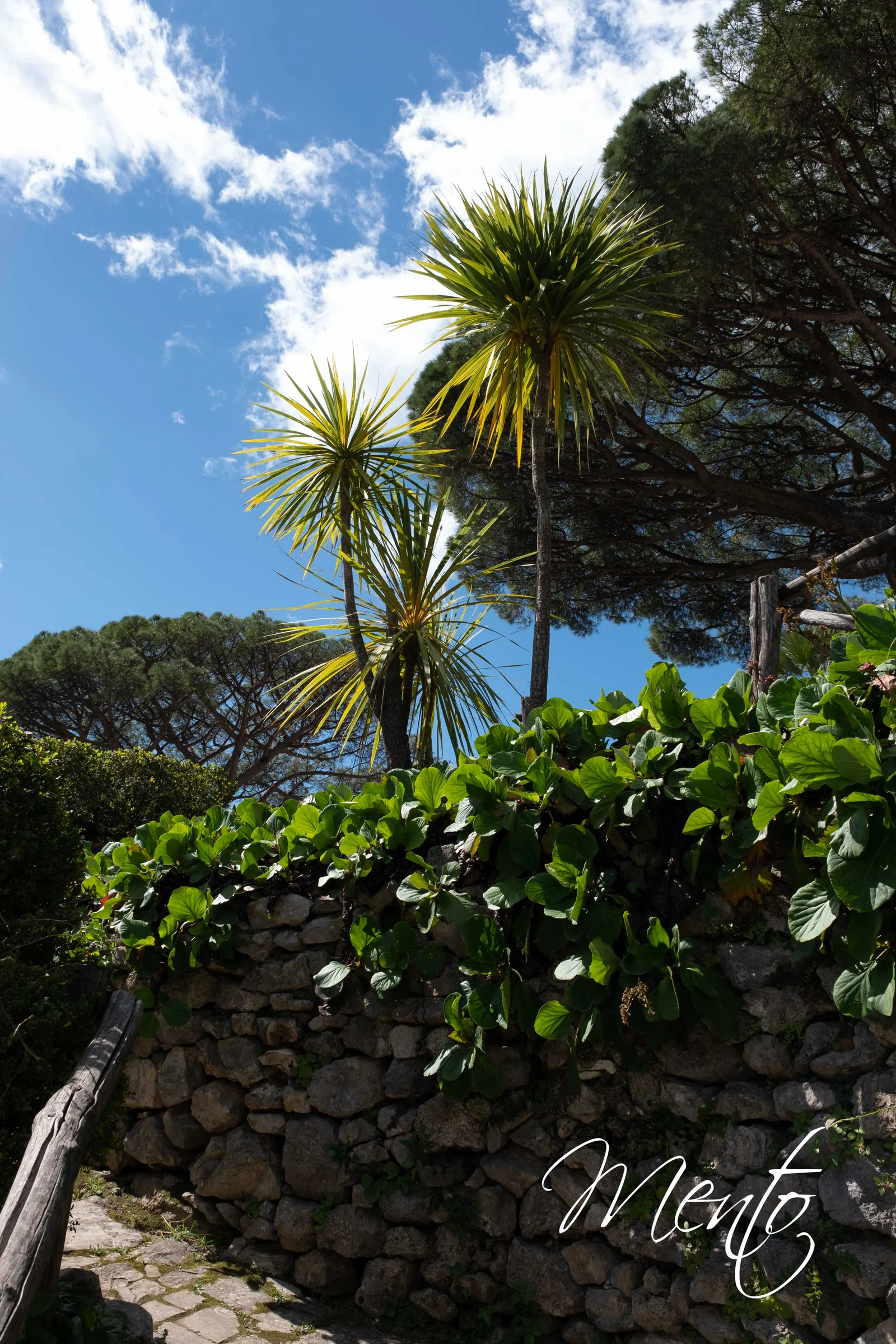 Villa Rufolo, Ravello