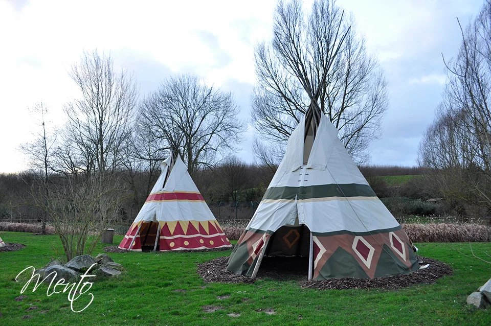Davy Crockett Ranch