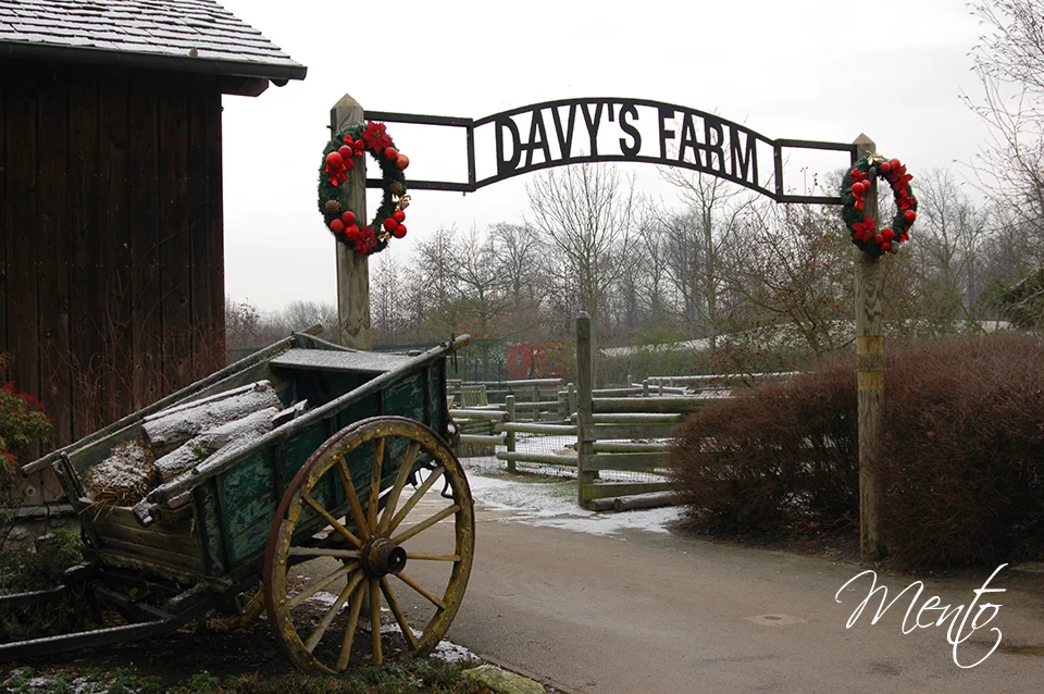 Davy Crockett Ranch