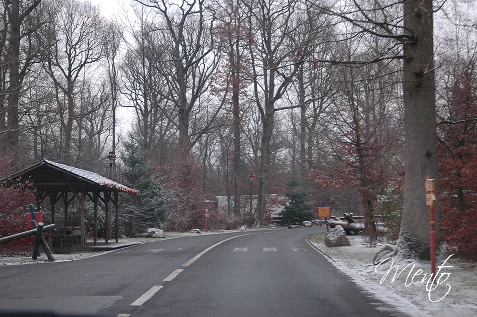 Davy Crockett Ranch