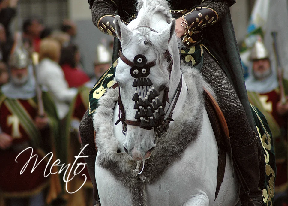 Desfile general
