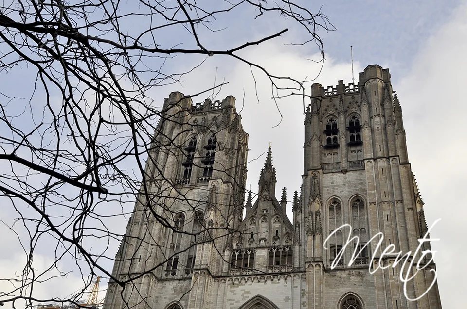 Catedral