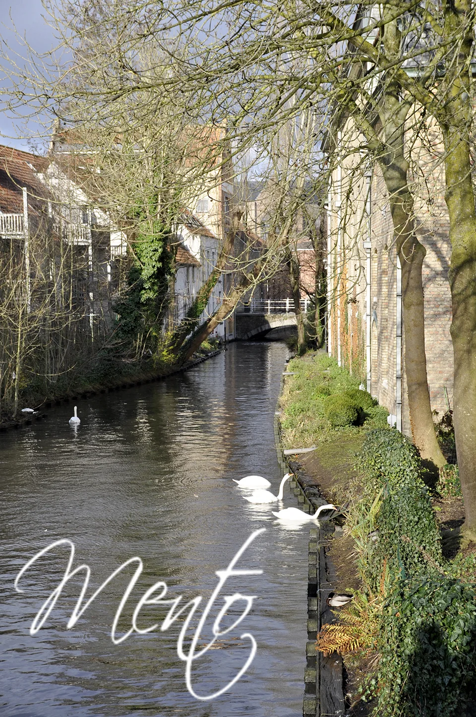 Canales en Brujas