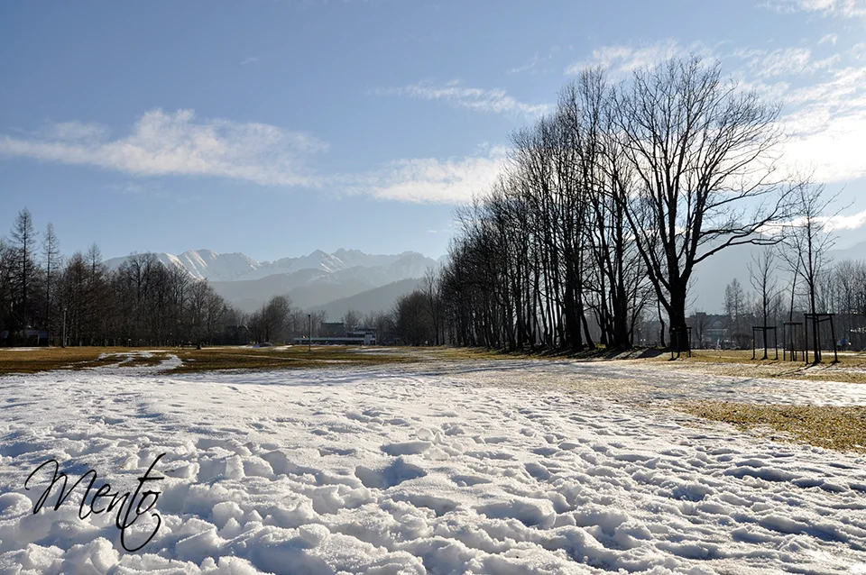 Esta es toda la nieve que encontramos