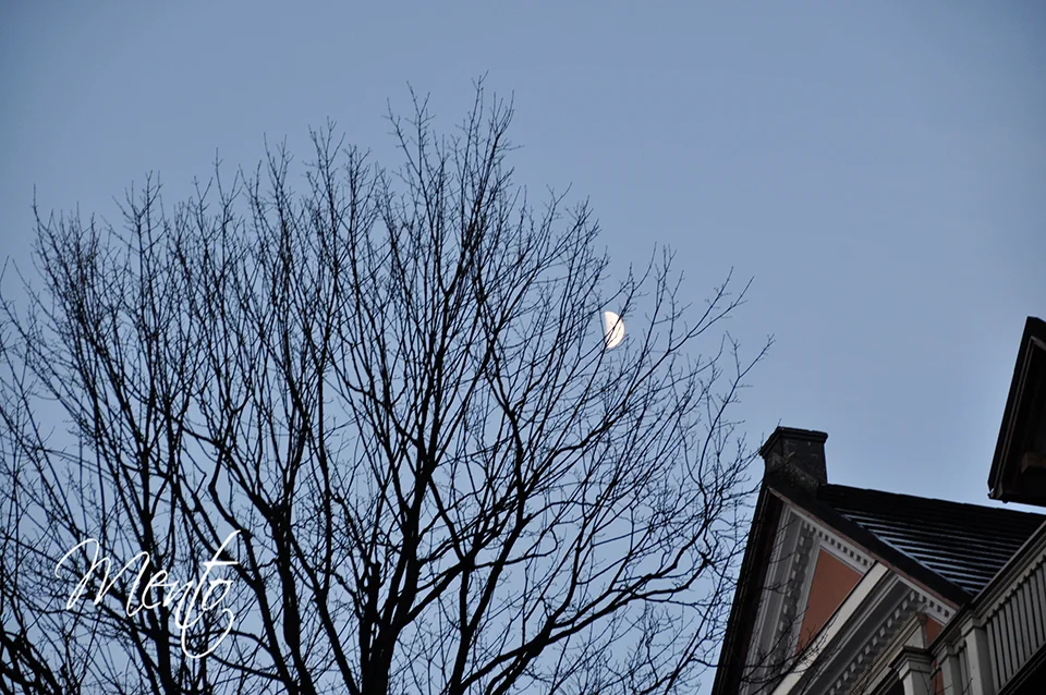La luna va tomando las calles