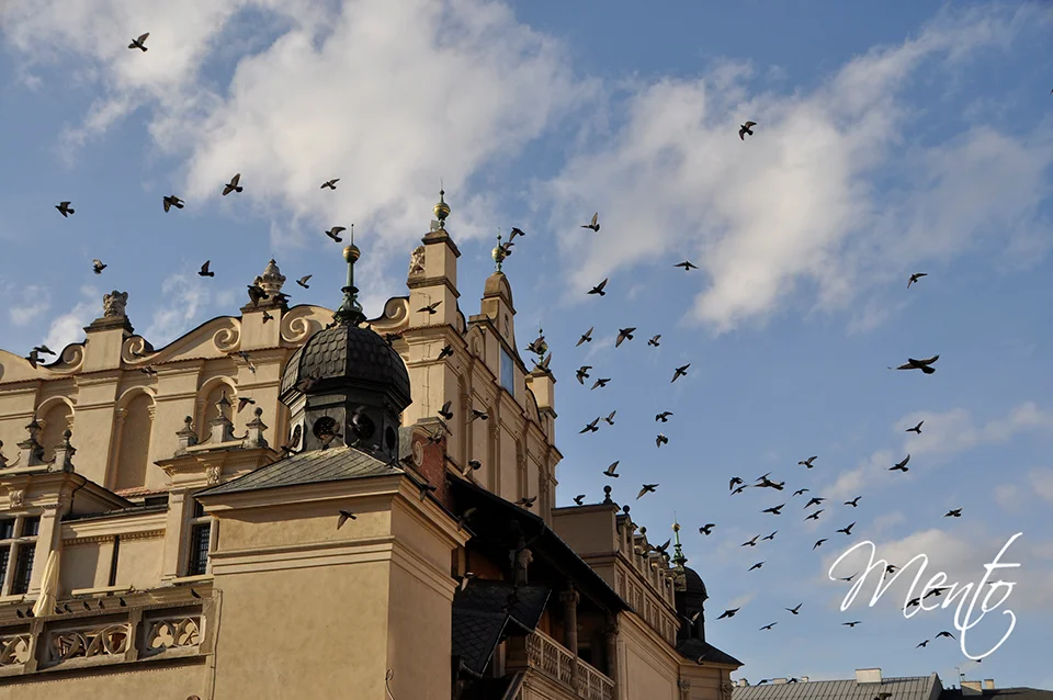 Cuando las palomas levantan el vuelo.