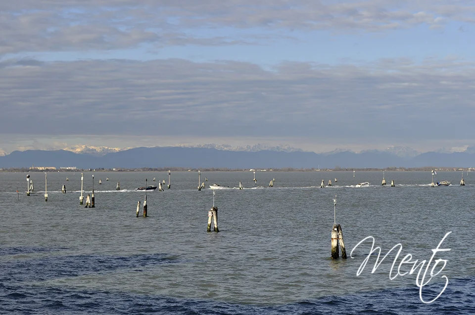 Invierno en la laguna.