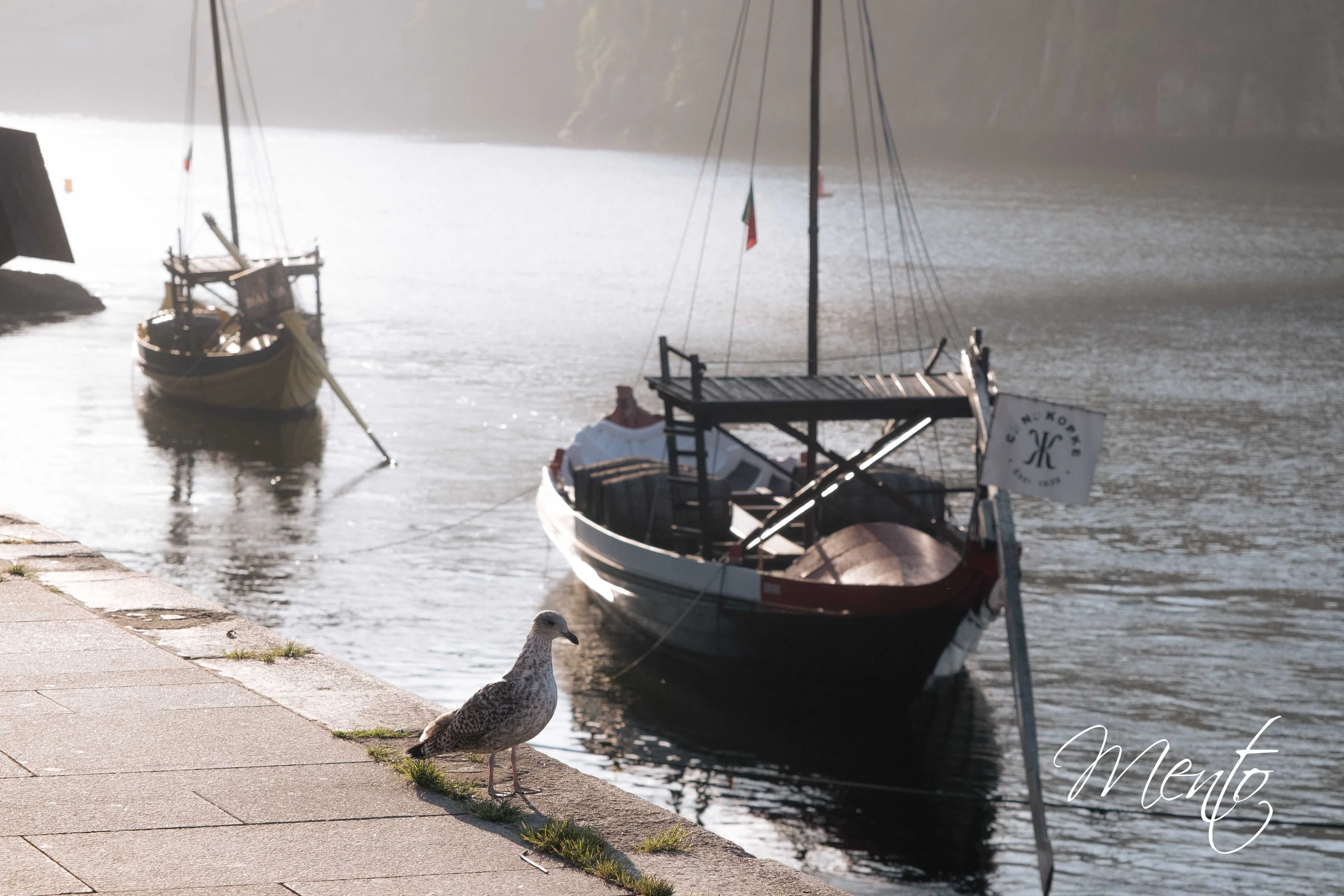 oporto-1
