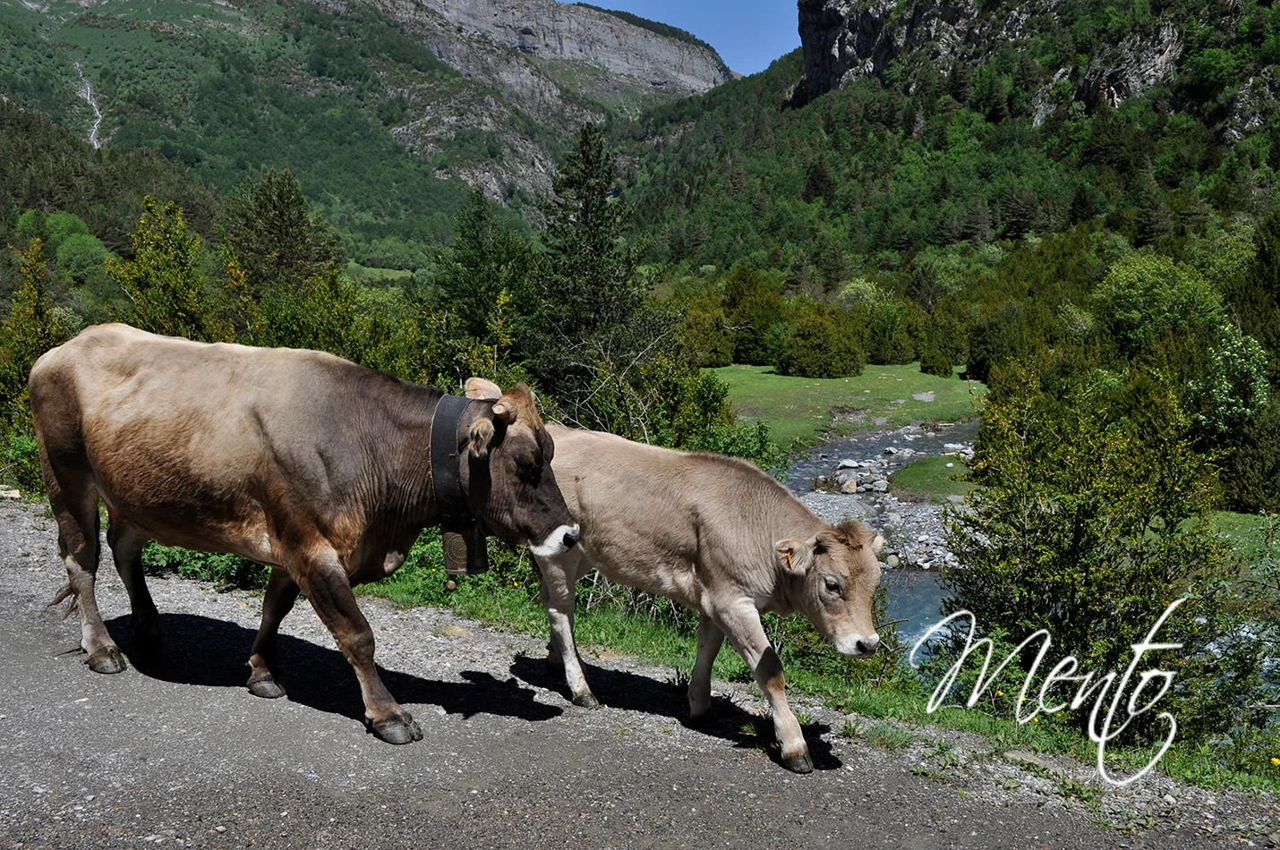 Subiendo al valle de Otal
