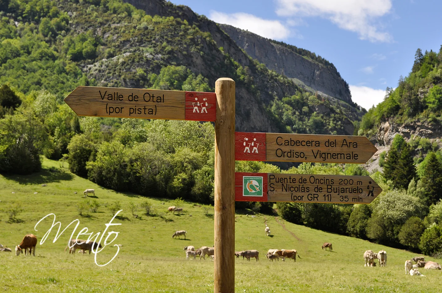 Subiendo al valle de Otal
