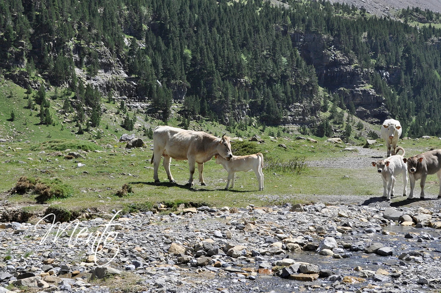 Parque Nacional de Ordesa y Monte Perdido
