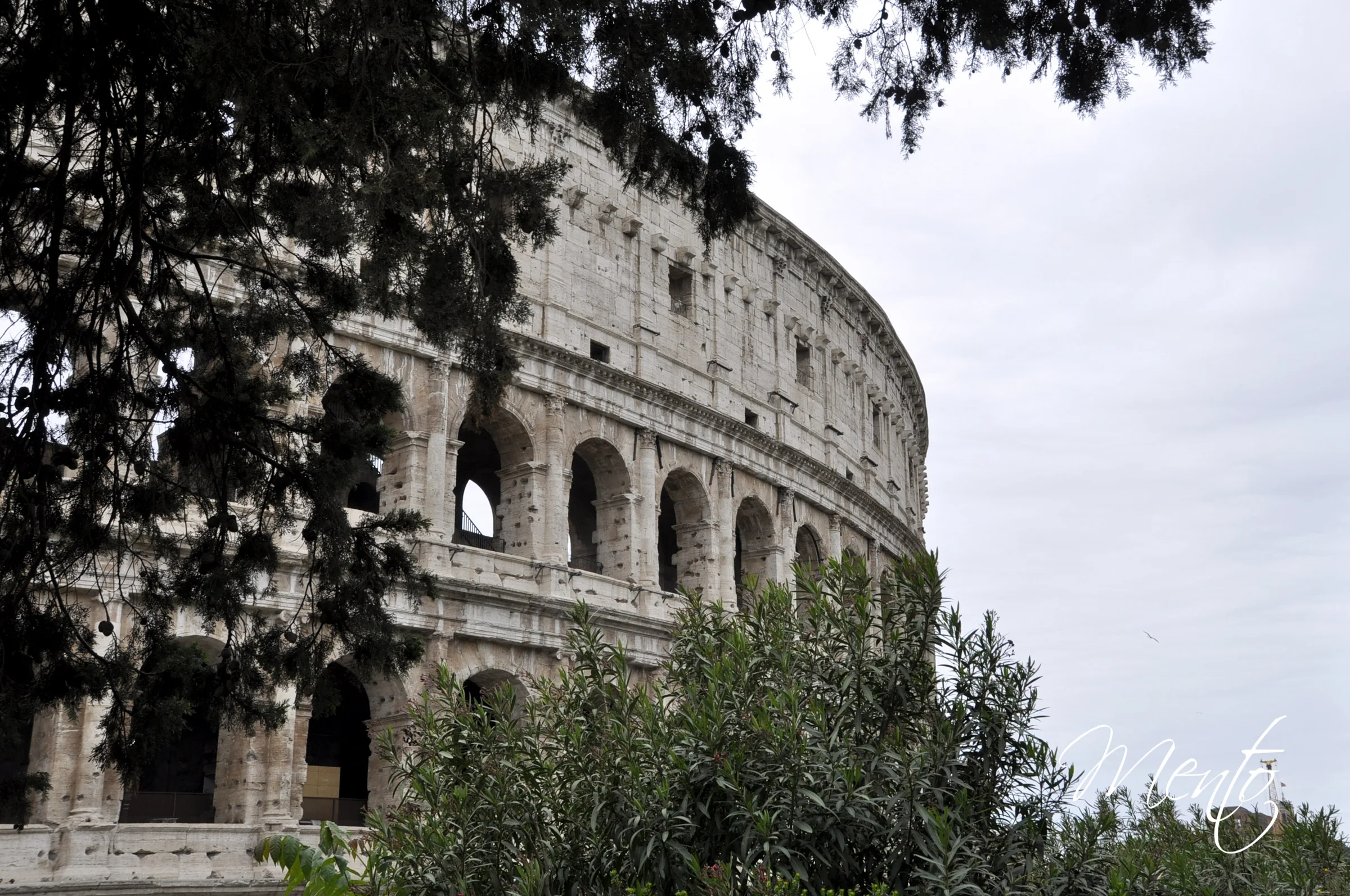Coliseo