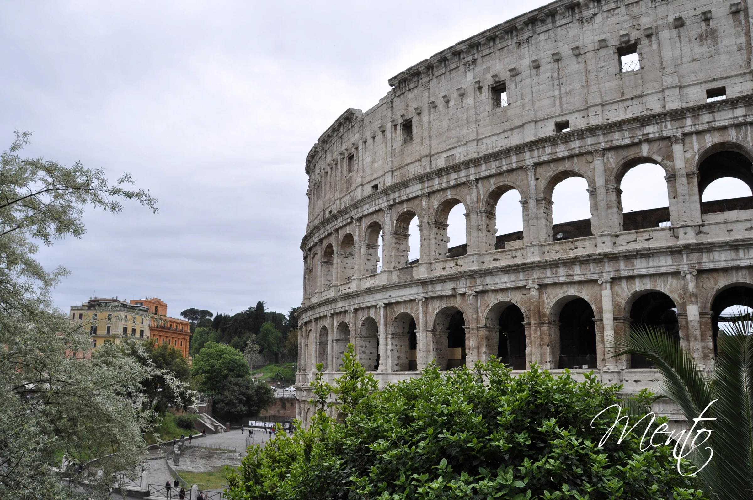Coliseo