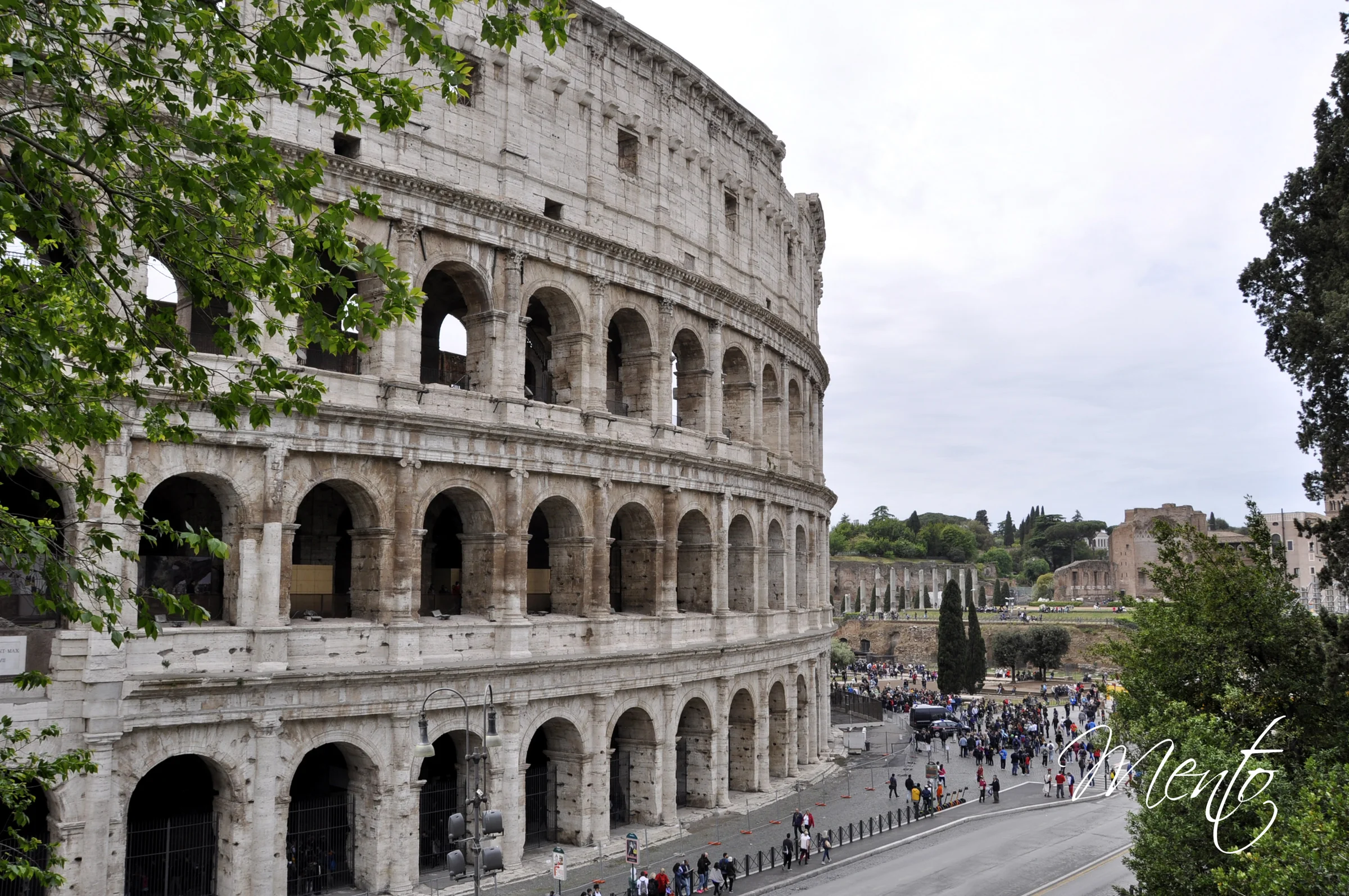 Coliseo