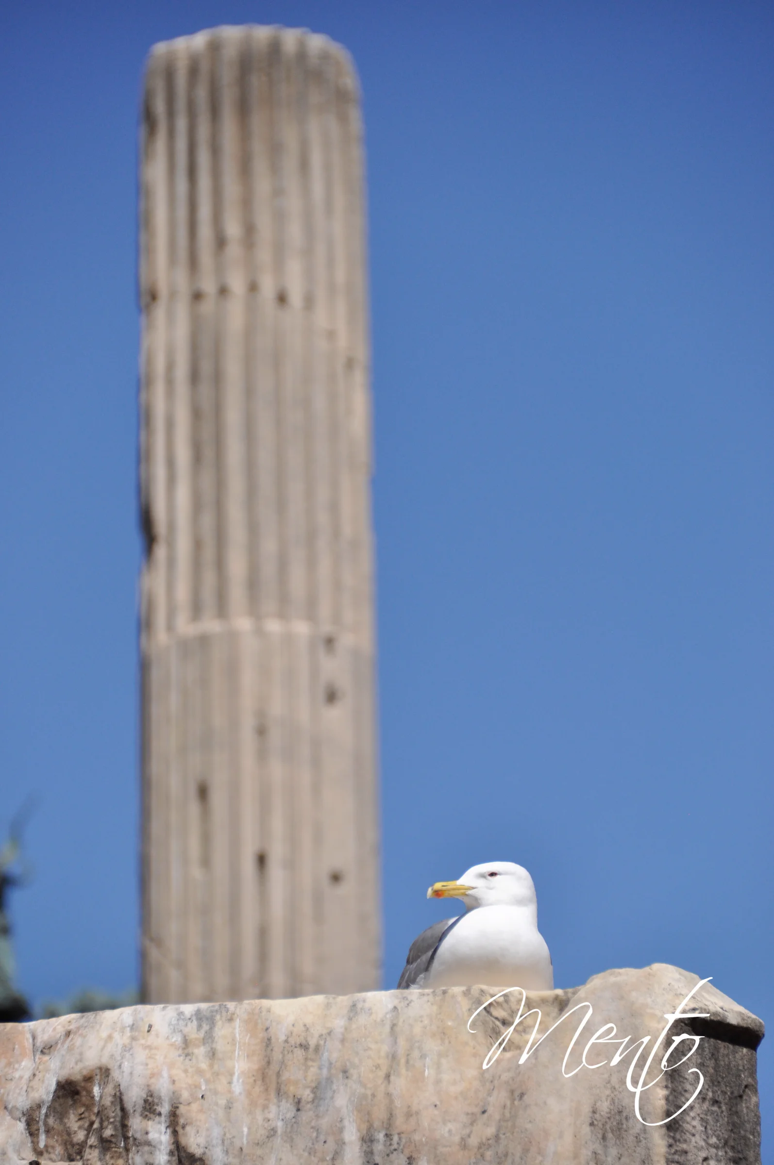 Foro romano