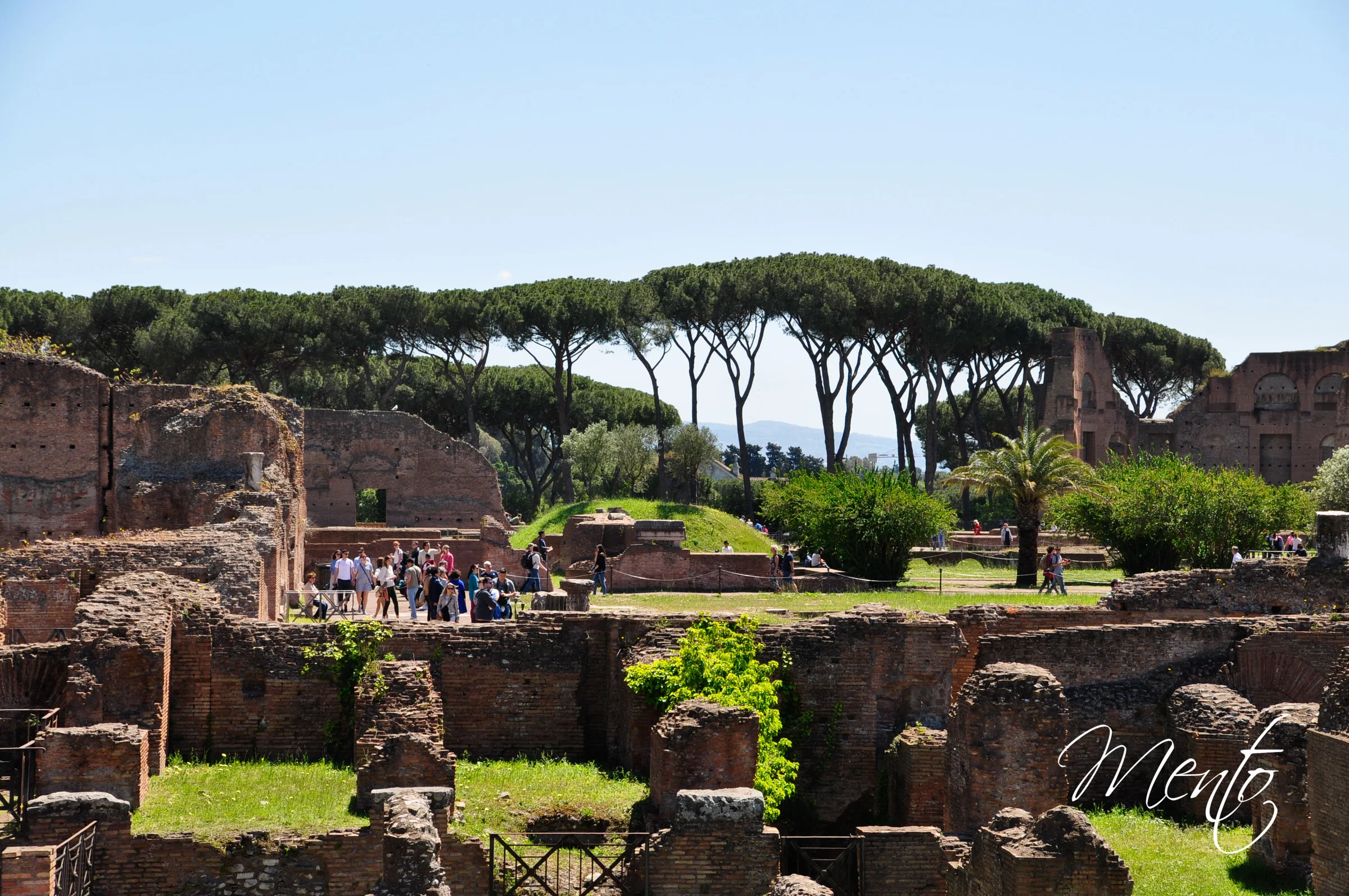 Palatino