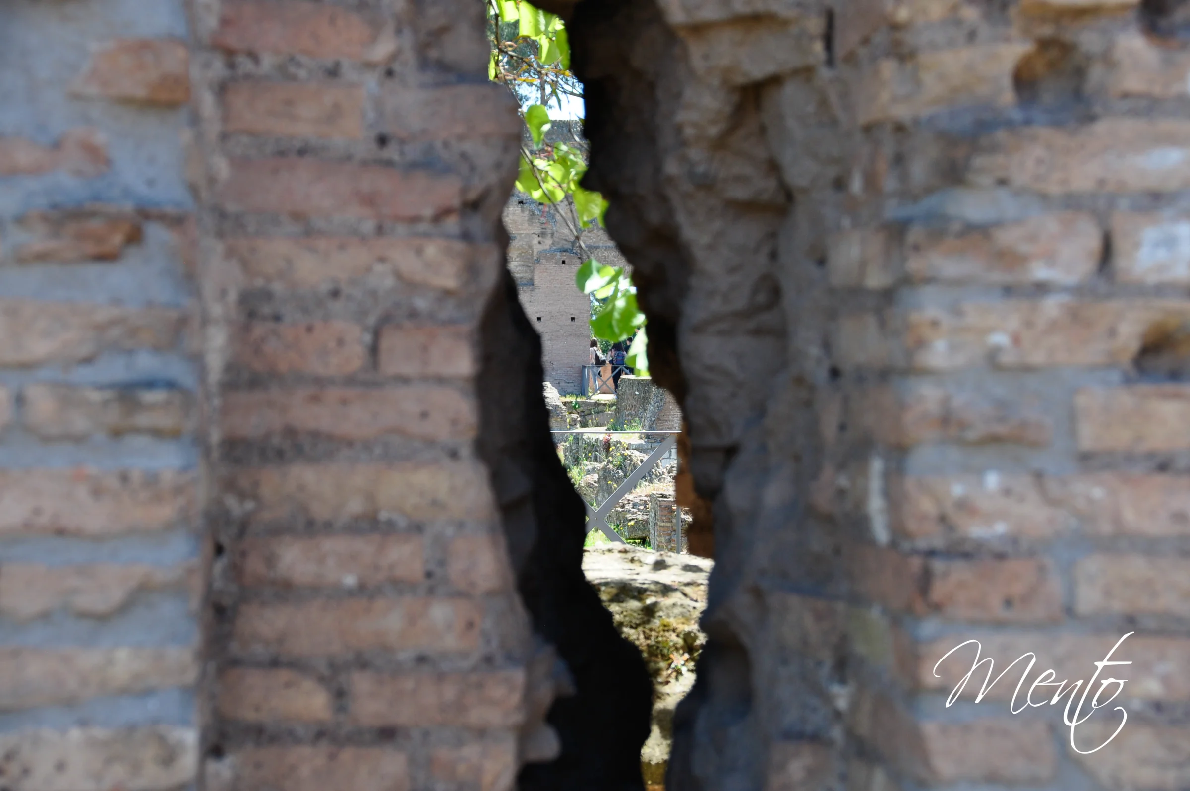 Palatino
