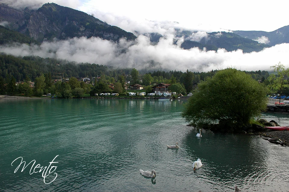 Lago de Brienz desde el camping a primera hora de la mañana.