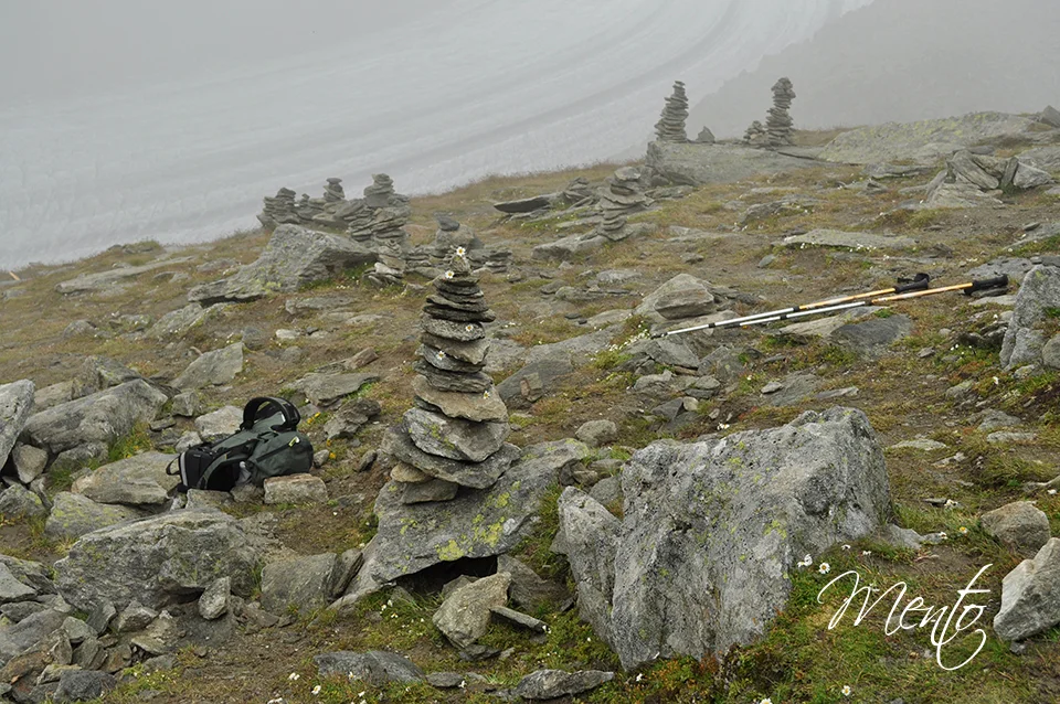 Nuestra contribución a la arquitectura de Eggishorn