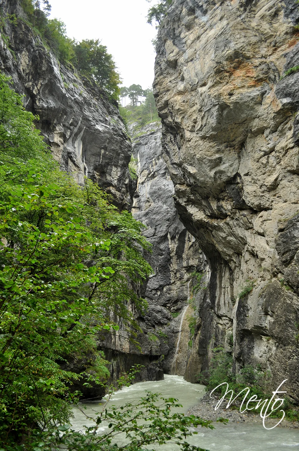 Garganta del Aare