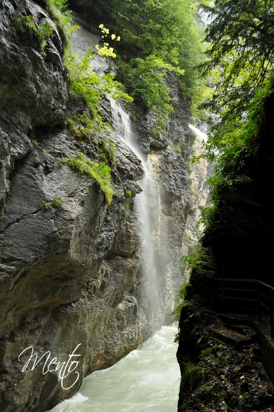 Garganta del Aare