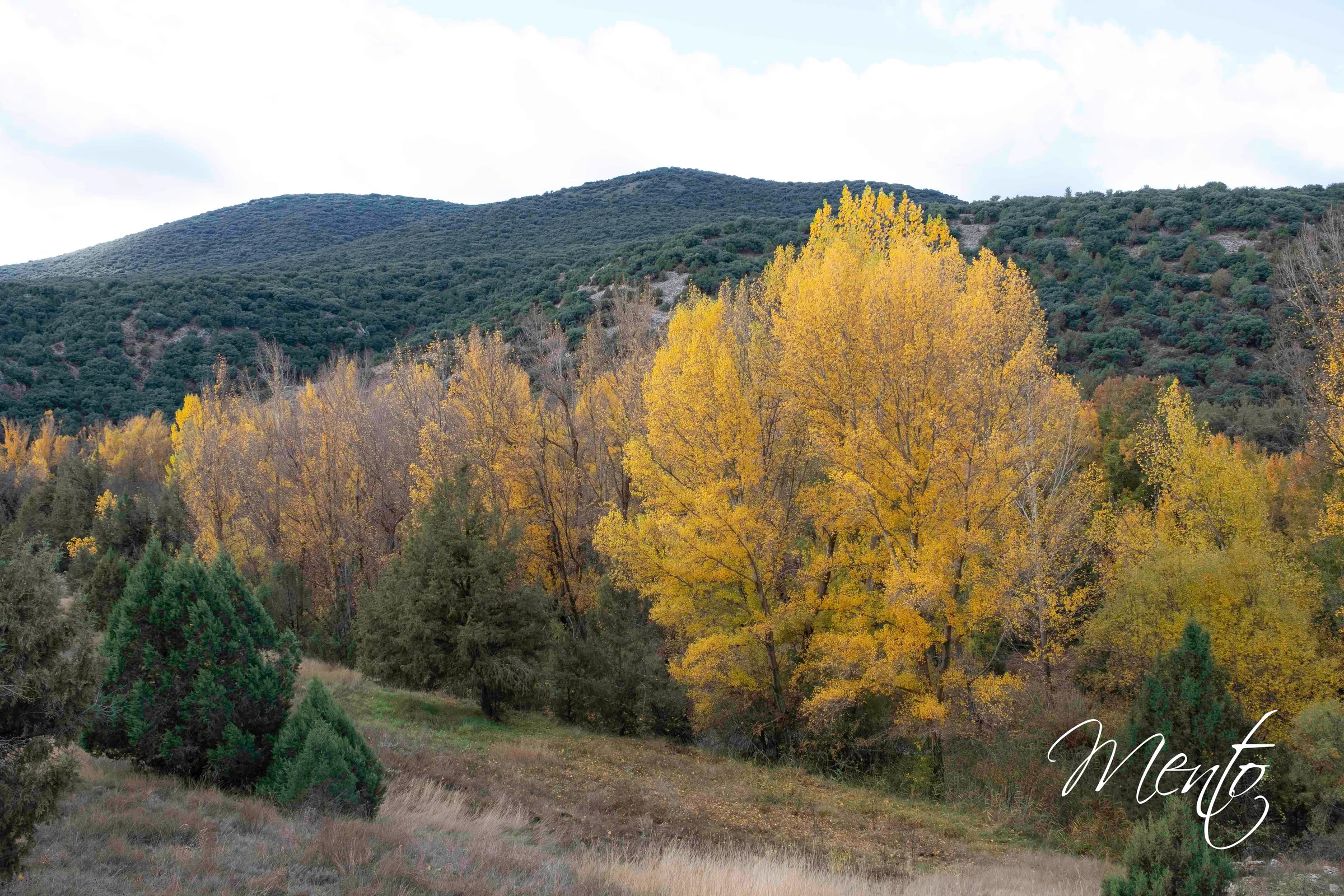 El otoño nos acompaña en el trayecto a Albarracín