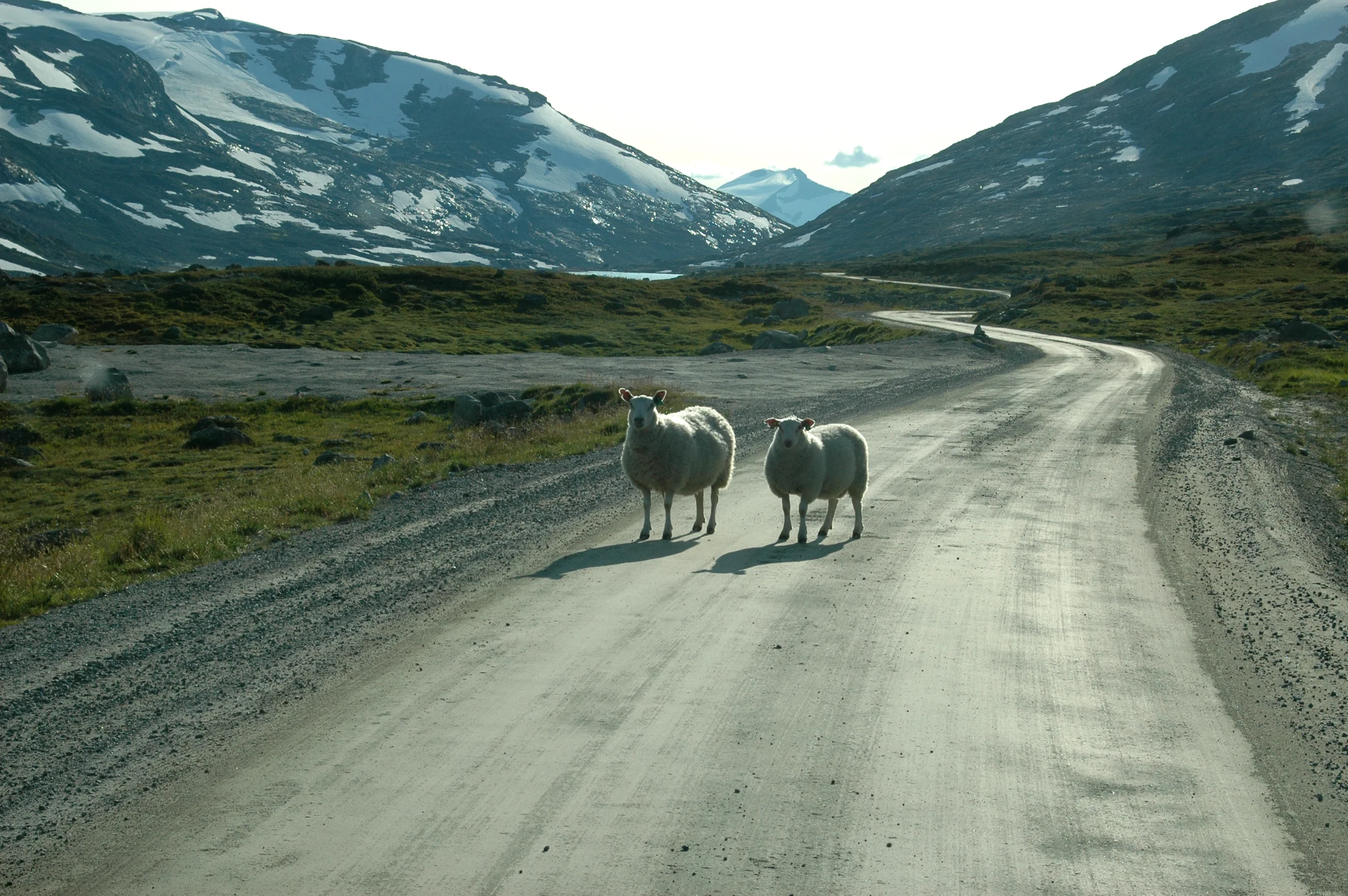 Fiordos noruegos