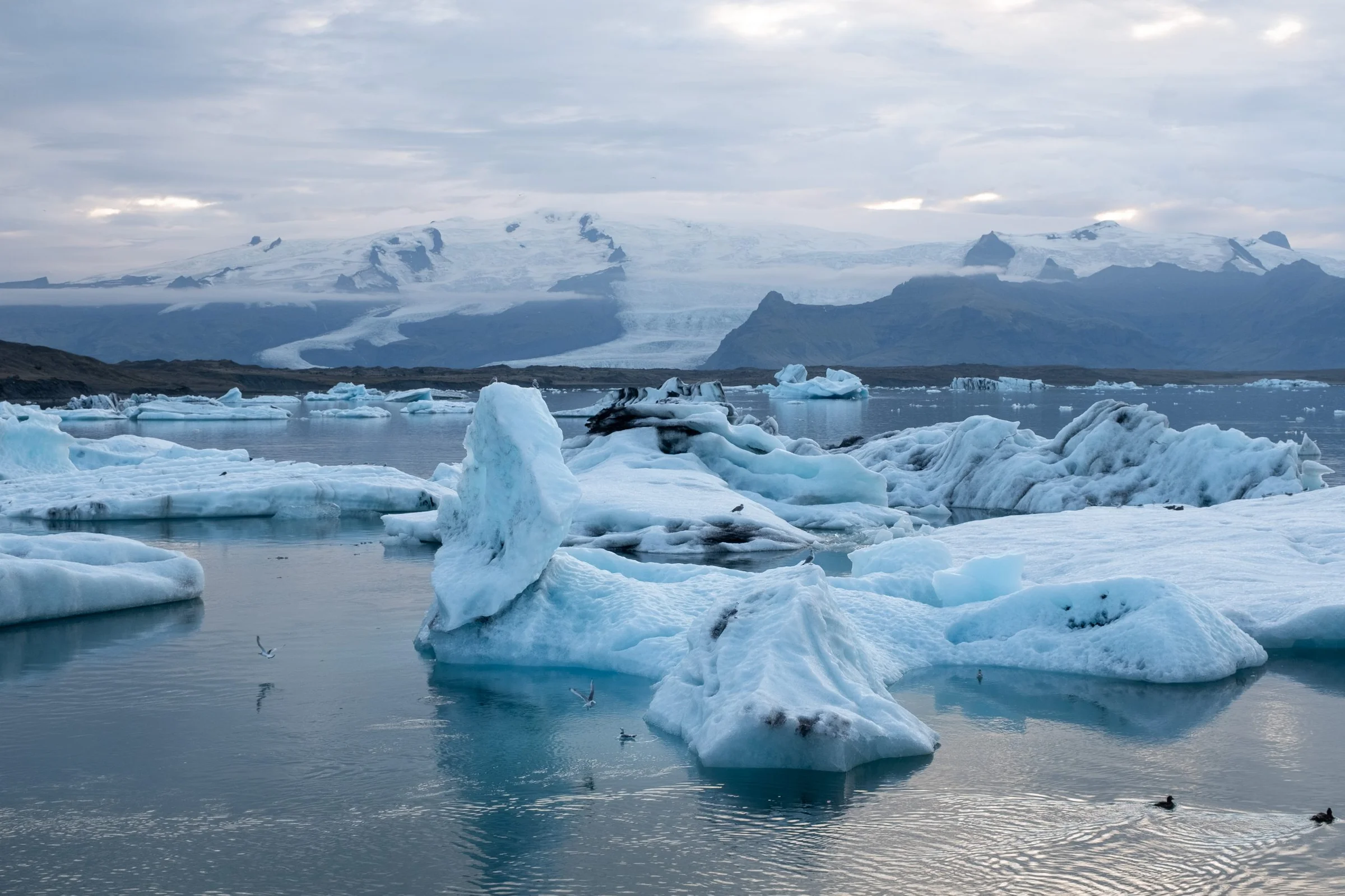 Ruta de 10 días por Islandia